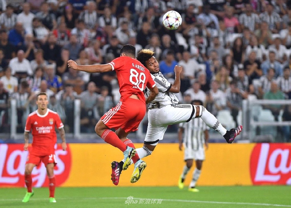 华体会网址-本菲卡战平尤文,托马斯穆勒乌龙送礼英超  第2张 华体会网址-本菲卡战平尤文,托马斯穆勒乌龙送礼英超  第2张