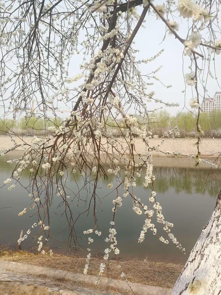 华体会登陆-包含北京北运河新冠军产生,庆祝盛大的词条  第2张 华体会登陆-包含北京北运河新冠军产生,庆祝盛大的词条  第2张
