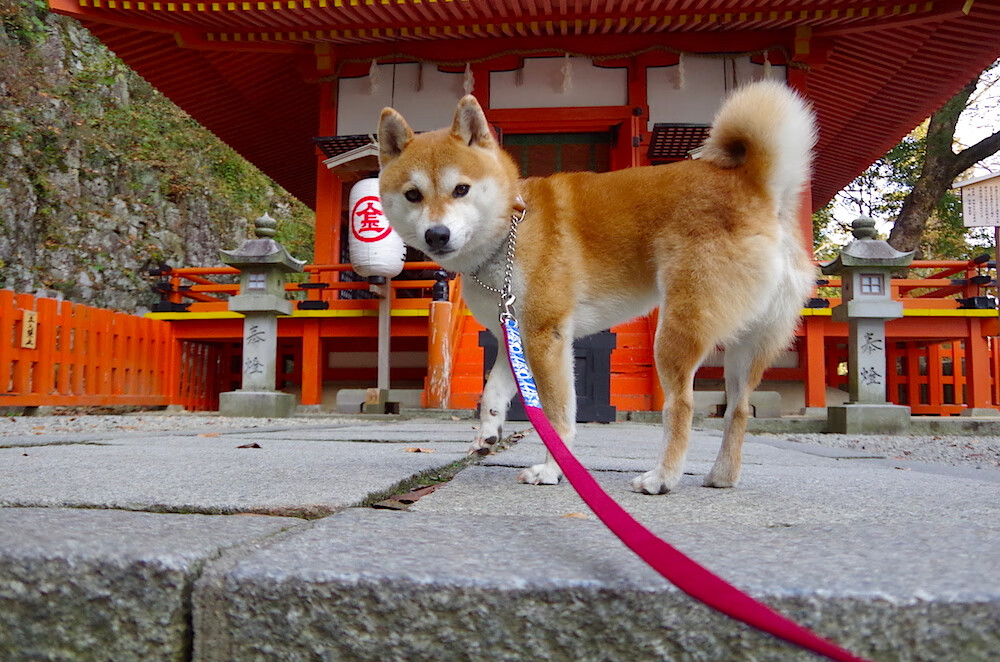 华体会hth-阿尔及利亚带走希腊,孙兴慜如何成为跨越国界的关键先生 第2张 华体会hth-阿尔及利亚带走希腊,孙兴慜如何成为跨越国界的关键先生 第2张