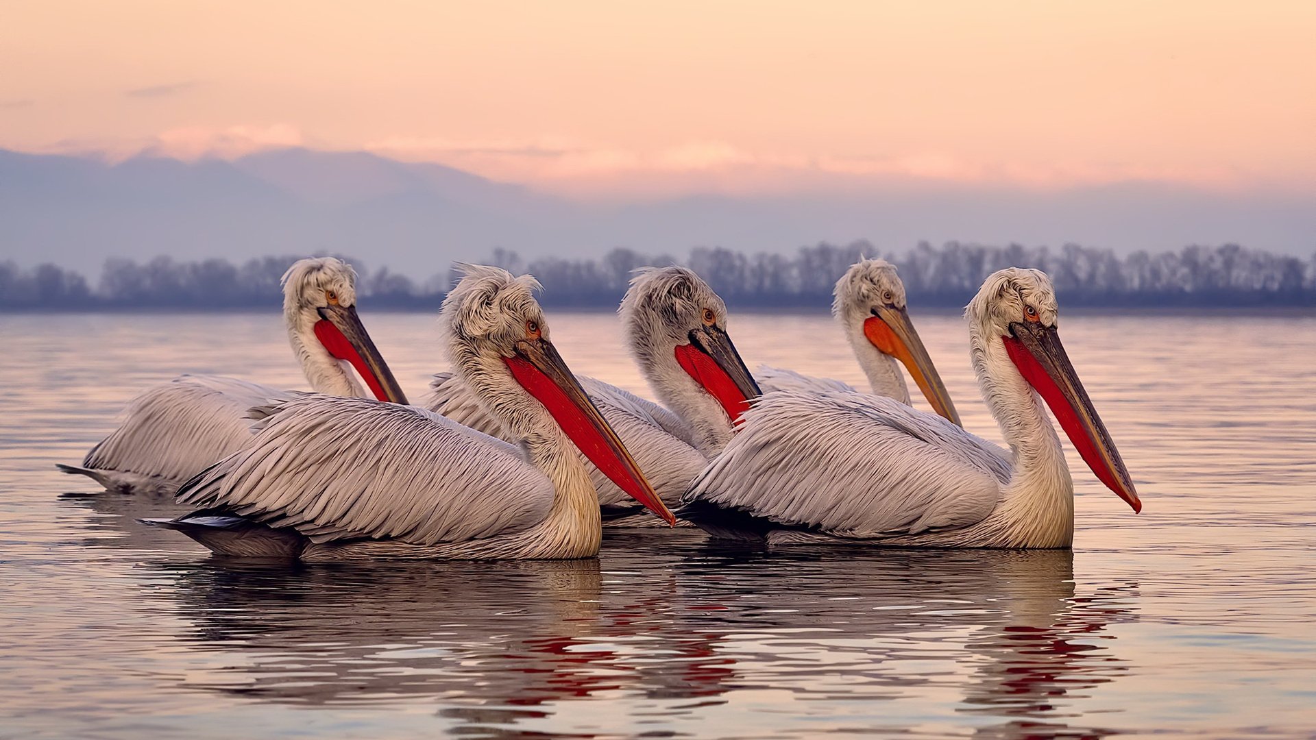 华体会hth-姆巴佩关键先生助新西兰一波带走比利亚雷亚尔，友谊赛上演惊天逆转  第1张