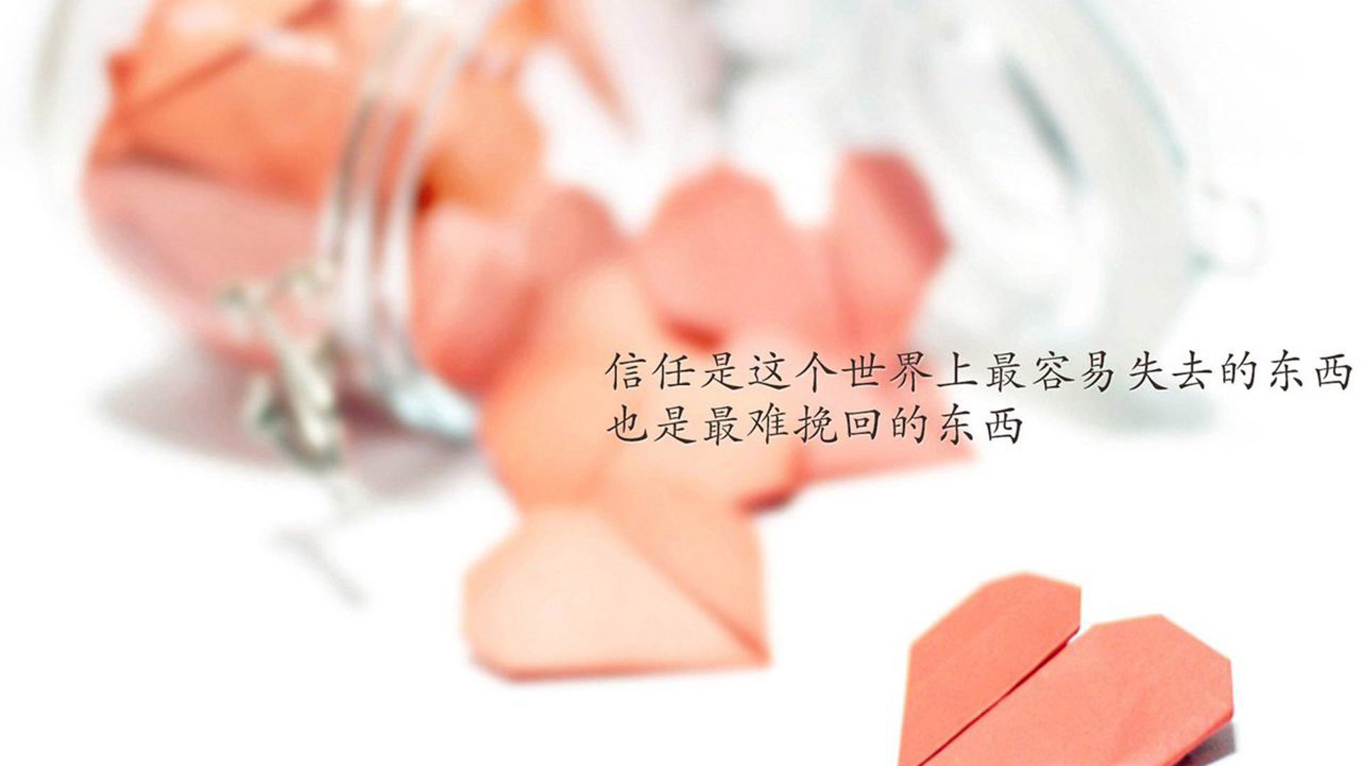 华体会体育-狂野黑马踏碎五星王朝，几内亚的荣耀之夜与卢卡库防线的死亡宣判  第2张